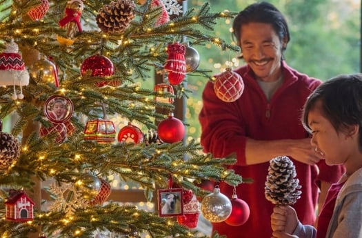 Balsam Brands case study