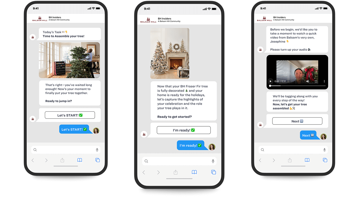 Rival Technologies - Balsam Hills - conversational research and insight community case study