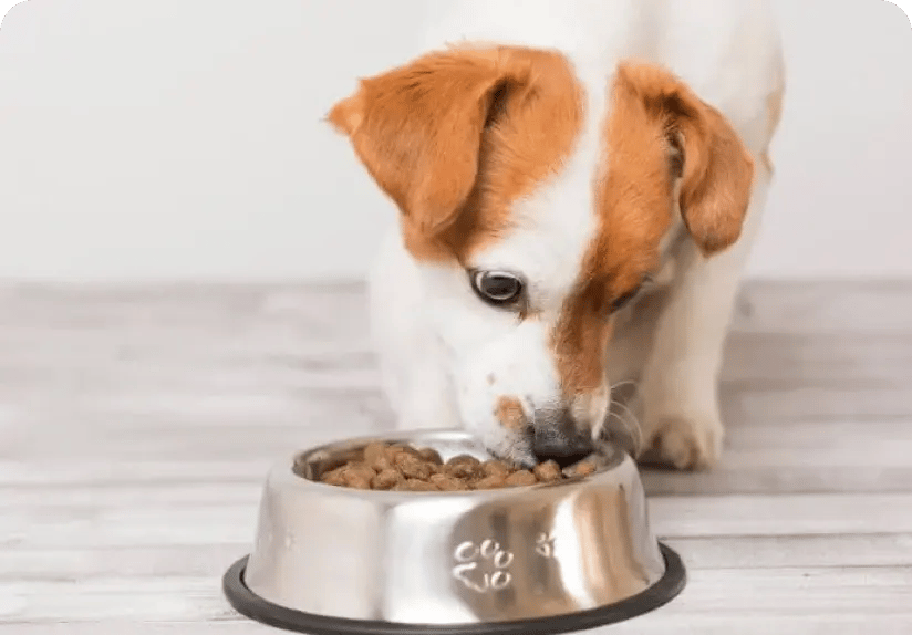 message-testing-how-use-rival-image-2-x2size